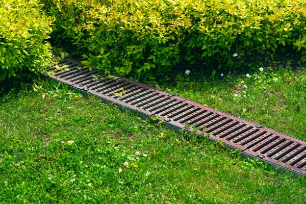 Cost of Lawn Drainage in Canton