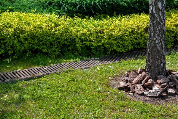 Cost of Residential Landscape Drainage in Canton