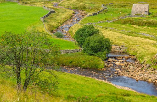 Cost of Swale Repair in Canton